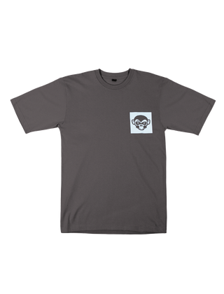 RADIATE RAPTURE GREY TEES